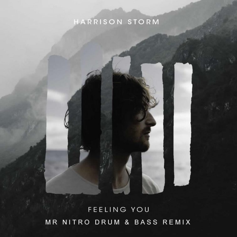 Harrison Storm - Feeling You (Mr Nitro DnB Remix) | Free Download